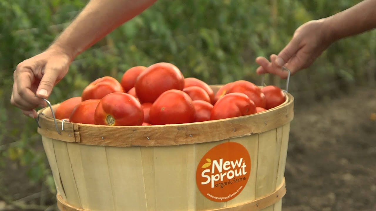 Ingles New Sprout Organic Farms My Story commercial