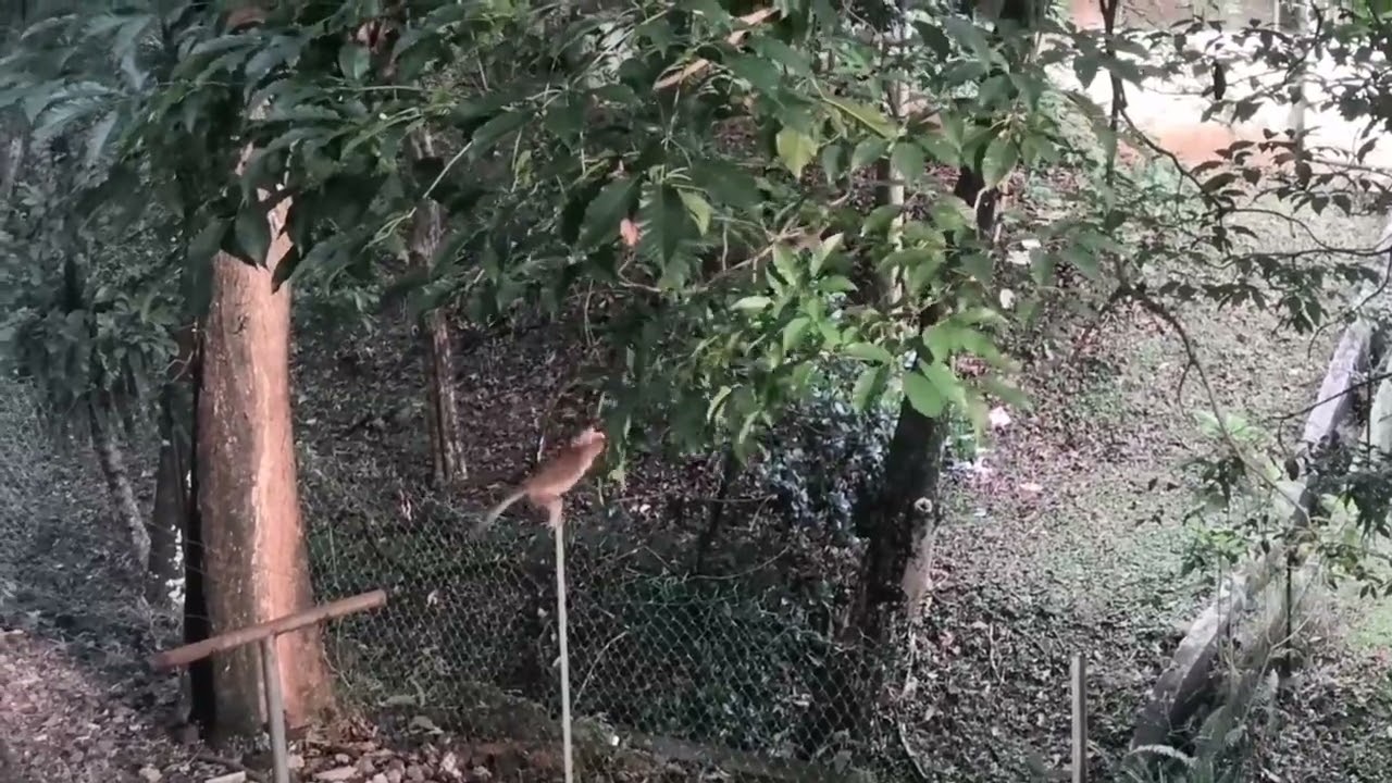 #phdvlog #phdlife Finally I'm done with my first draft🙌