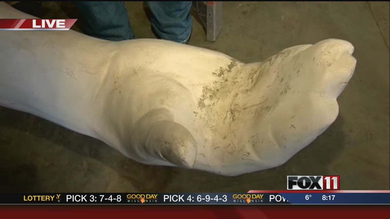 GDW8 Larry the Logroller