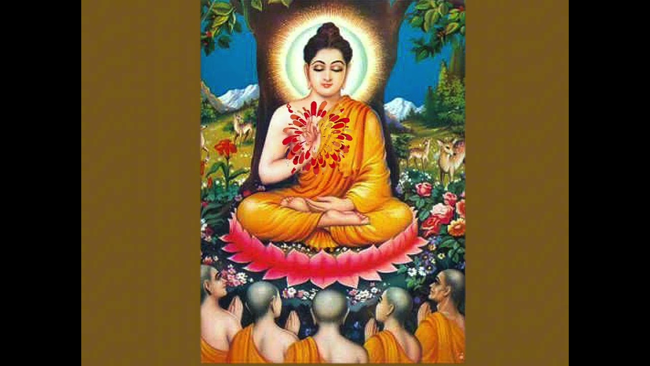 @မာနတ်သို့မြတ်ဗုဒ္ဓ၏ တုံ့ပြန်ချက်များ (၁)