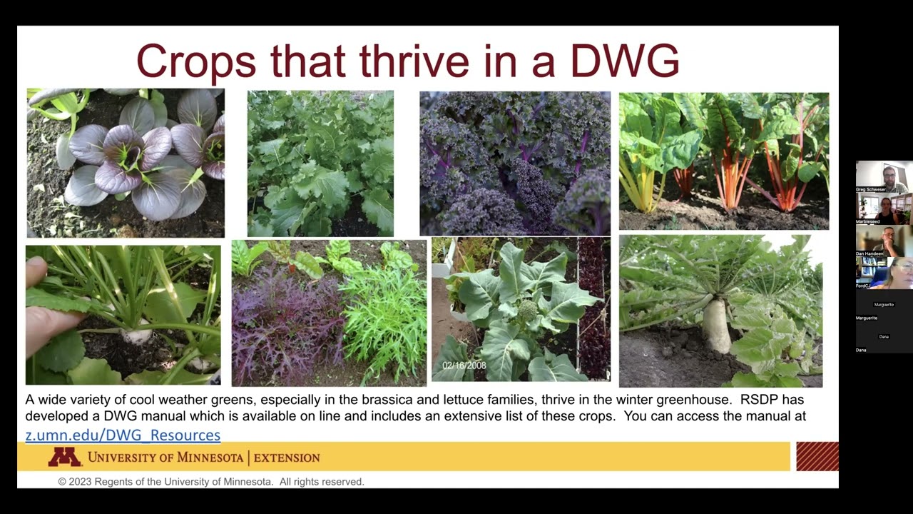 Growing in a Deep Winter Greenhouse