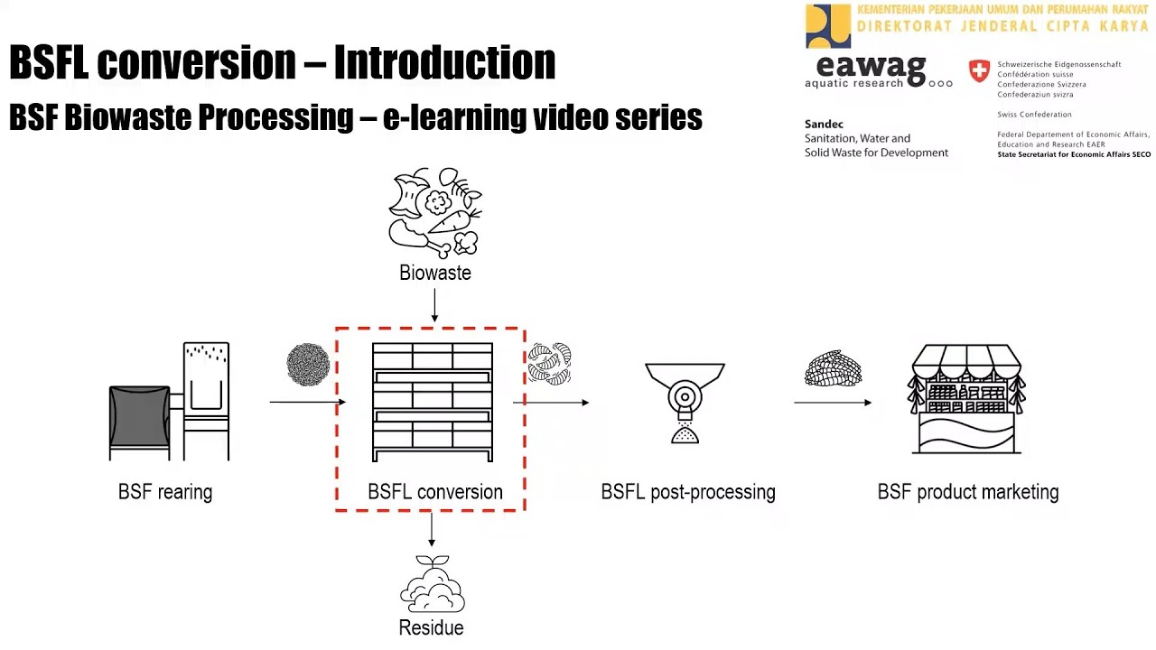 BSFL Conversion - Introduction - BSF Biowaste Processing e-learning video series