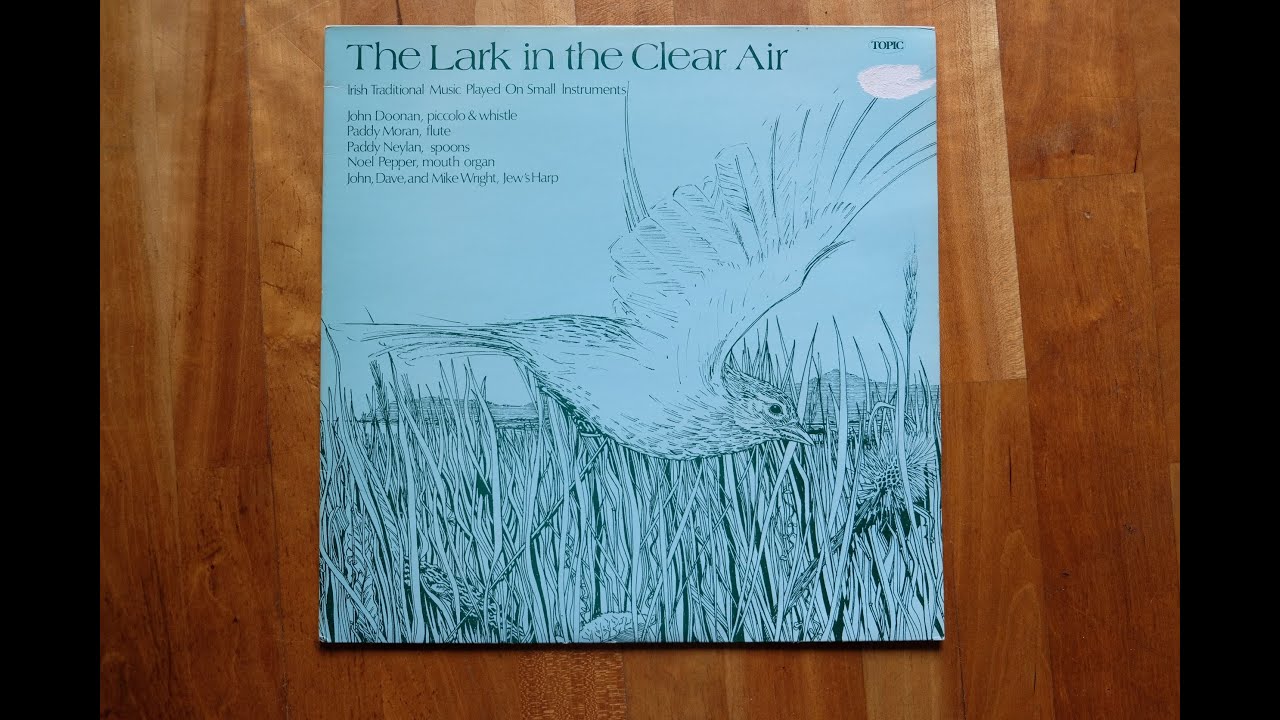 The Lark in the Clear Air - Irish Music