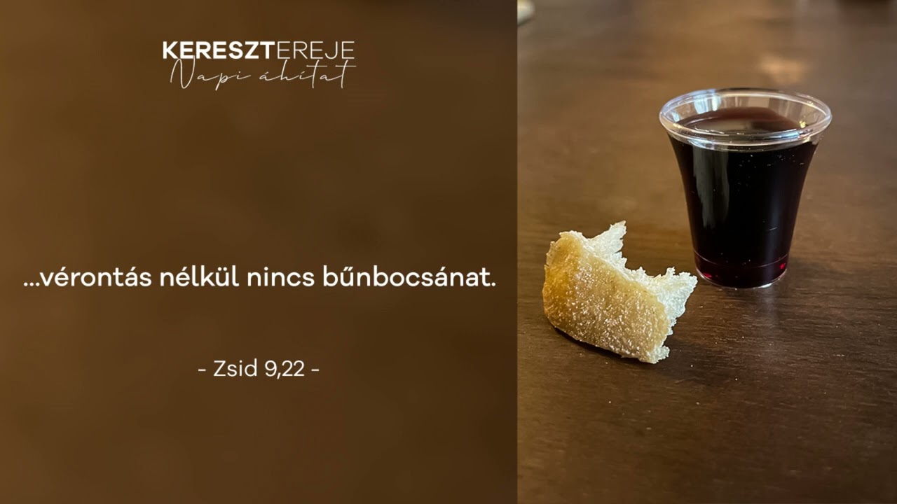 Vérontás nélkül nincs bűnbocsánat - Napi áhítat