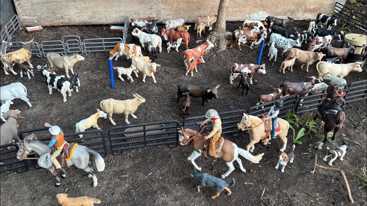 Ordeñando vacas y descargando algunos toros. Juguete