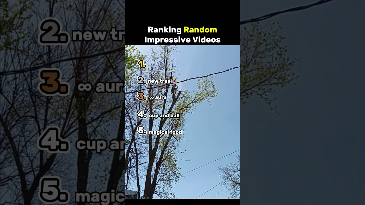 Ranking The Top 5 Random Impressive Videos