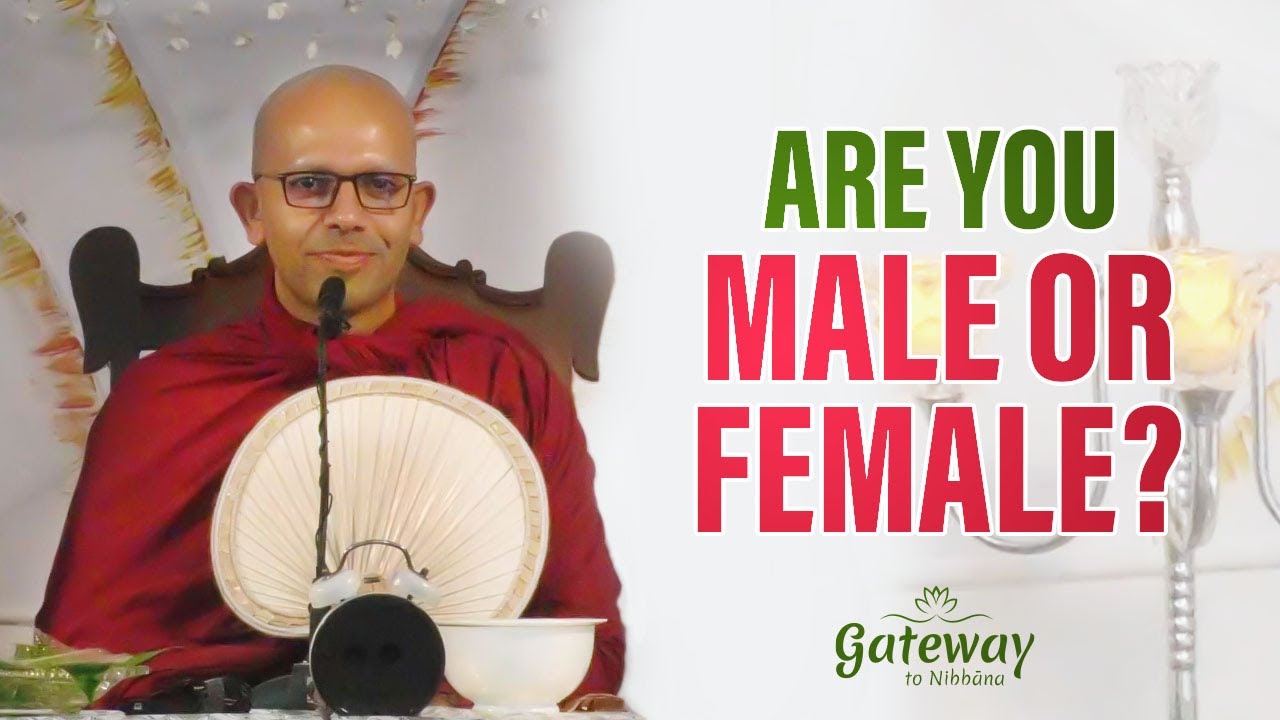 What is your Gender Identity? | Are you male or female?