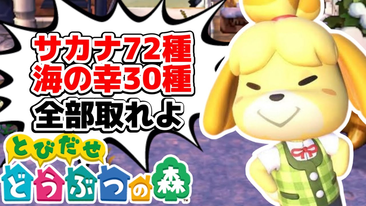 【とび森】最初から初めて魚&海の幸図鑑コンプリートするまで終わらない放送【とびだせどうぶつの森】