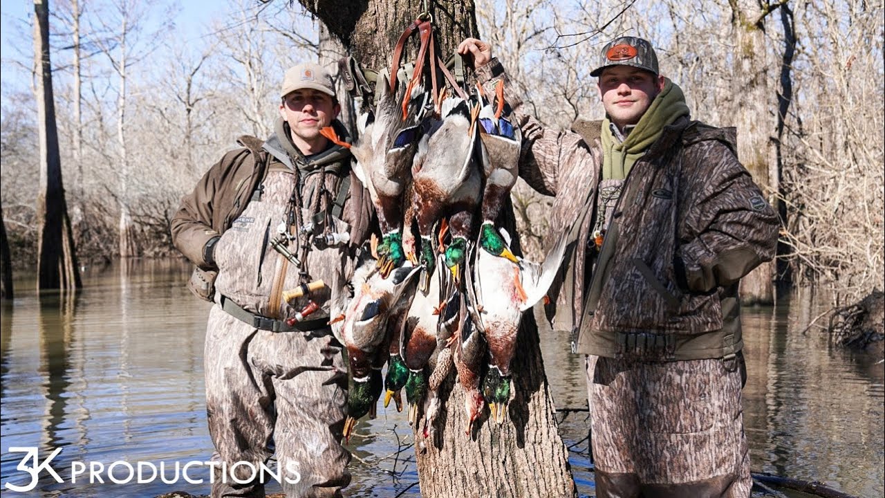 Охота на уток в Арканзасе | Кряквы на мелководье