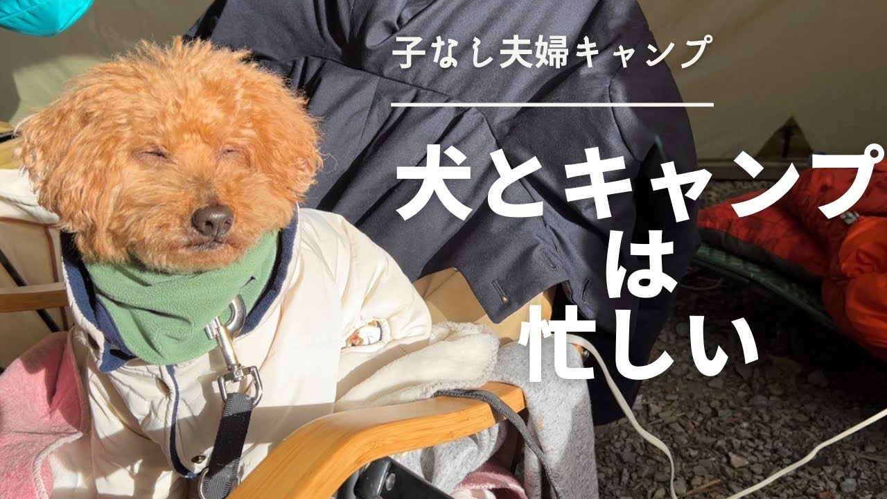 【子なし夫婦キャンプ】夕方5時から愛犬中心のドタバタキャンプ。共働きは忙しい