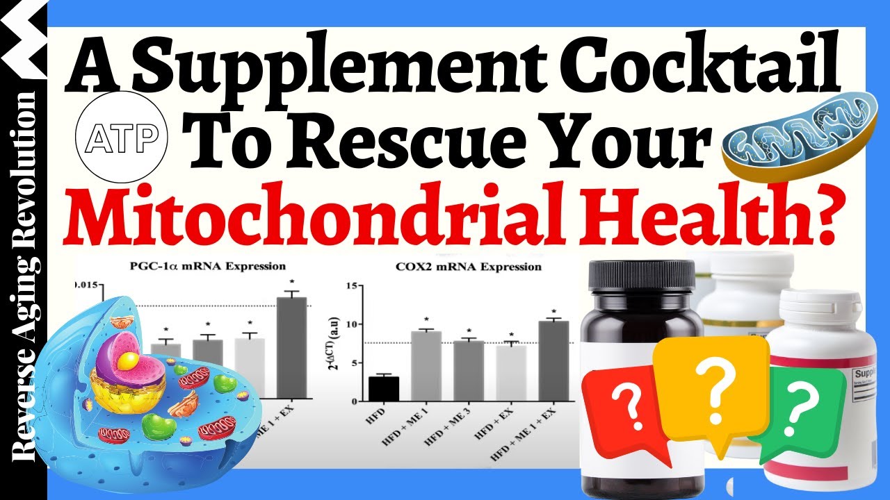 Will THIS Supplement Cocktail RESCUE YOUR Mitochondrial Health? | Dr. Tarnopolsky