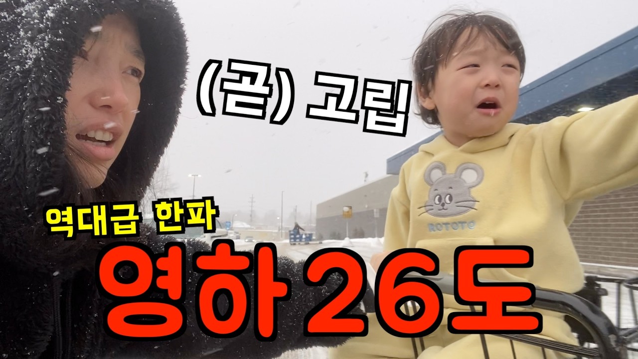 미국 일상 🇺🇸 마지막 외출 후, 미국 최악의 한파 시작 🥶 영하 26도 고립 미국 브이로그 (한파 대비법)