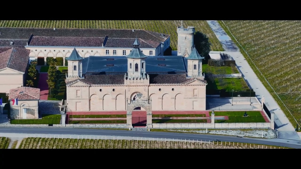 Médoc en mer vignes et estuaire 