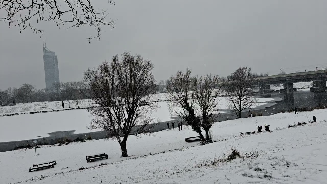 فيينا تحت الثلج… قصيدة تُوقظ الذاكرة والحنين