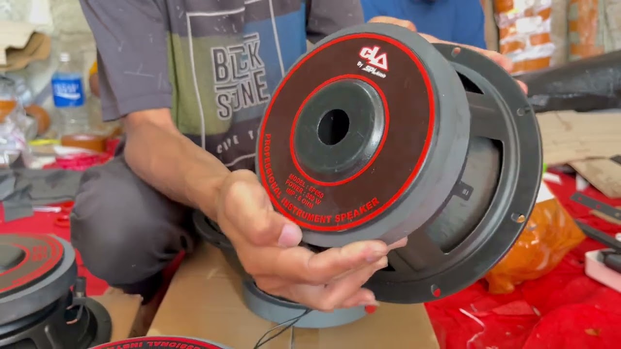 CEK SOUND BOSKU,CROSSOVER SPL AUDIO AF 204,SPEAKER CLA BY SPL 10P650-8P650