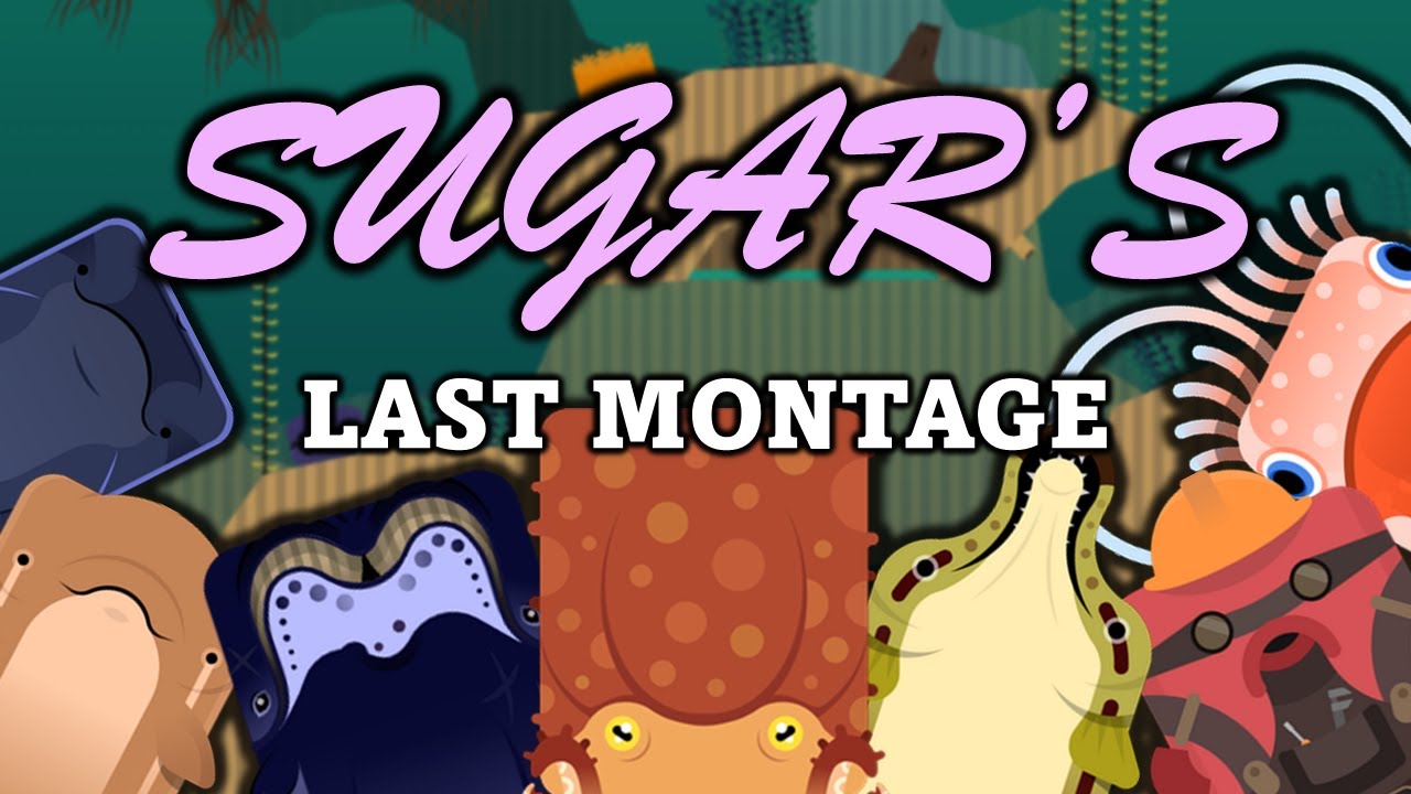 My Last Montage... Giant Pacific Octopus Pro Clips + Other Animals | Deeeep.io