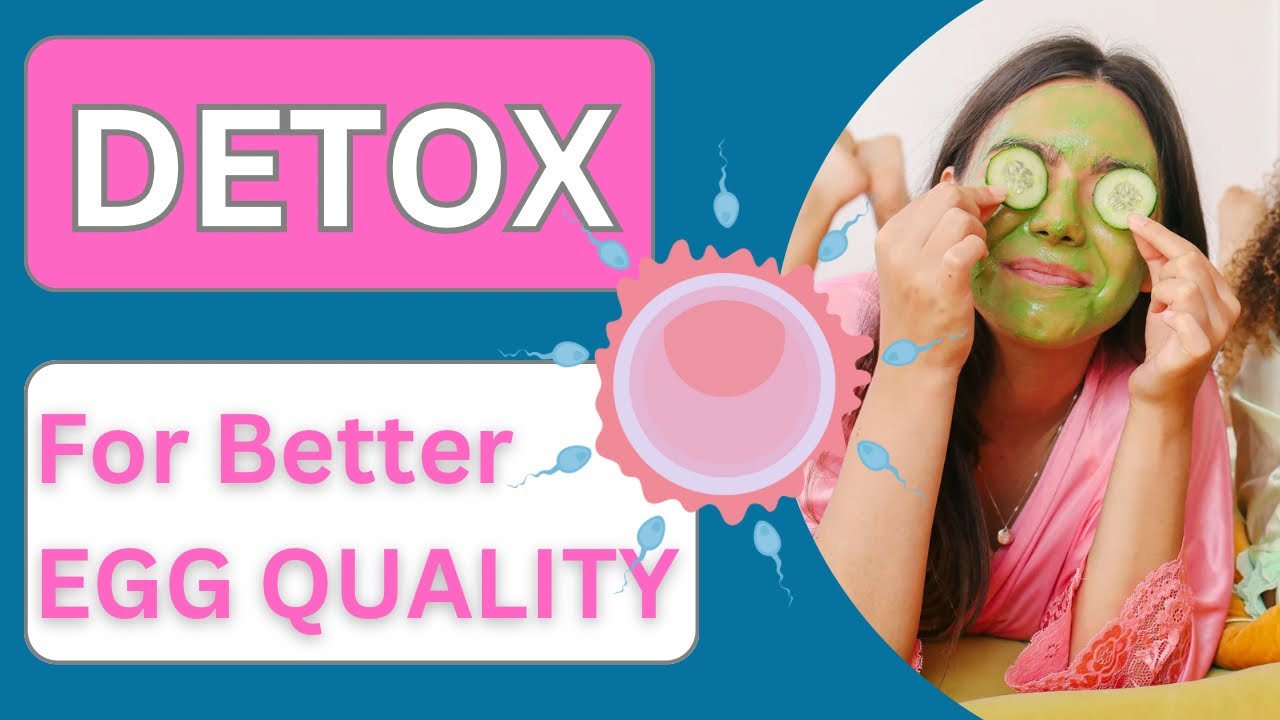 How to Reduce Toxins & Improve Egg Quality for Fertility