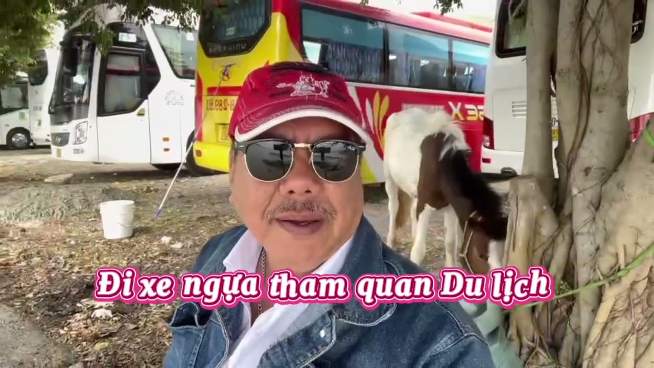 Đi xe ngựa  Du lịch đó đây .