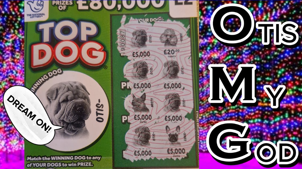 £43 WORTH OF UK LOTTO SCRATCH CARDS