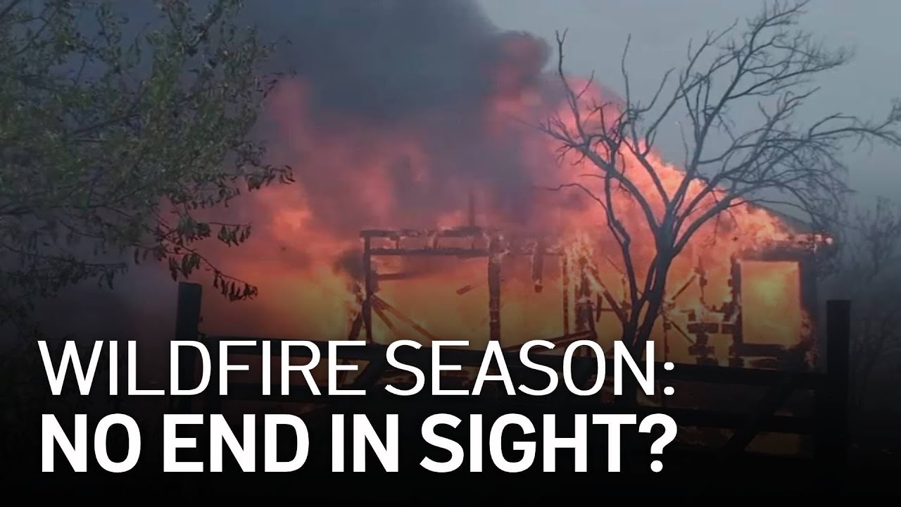 Here's What to Expect in California's Wildfire Season