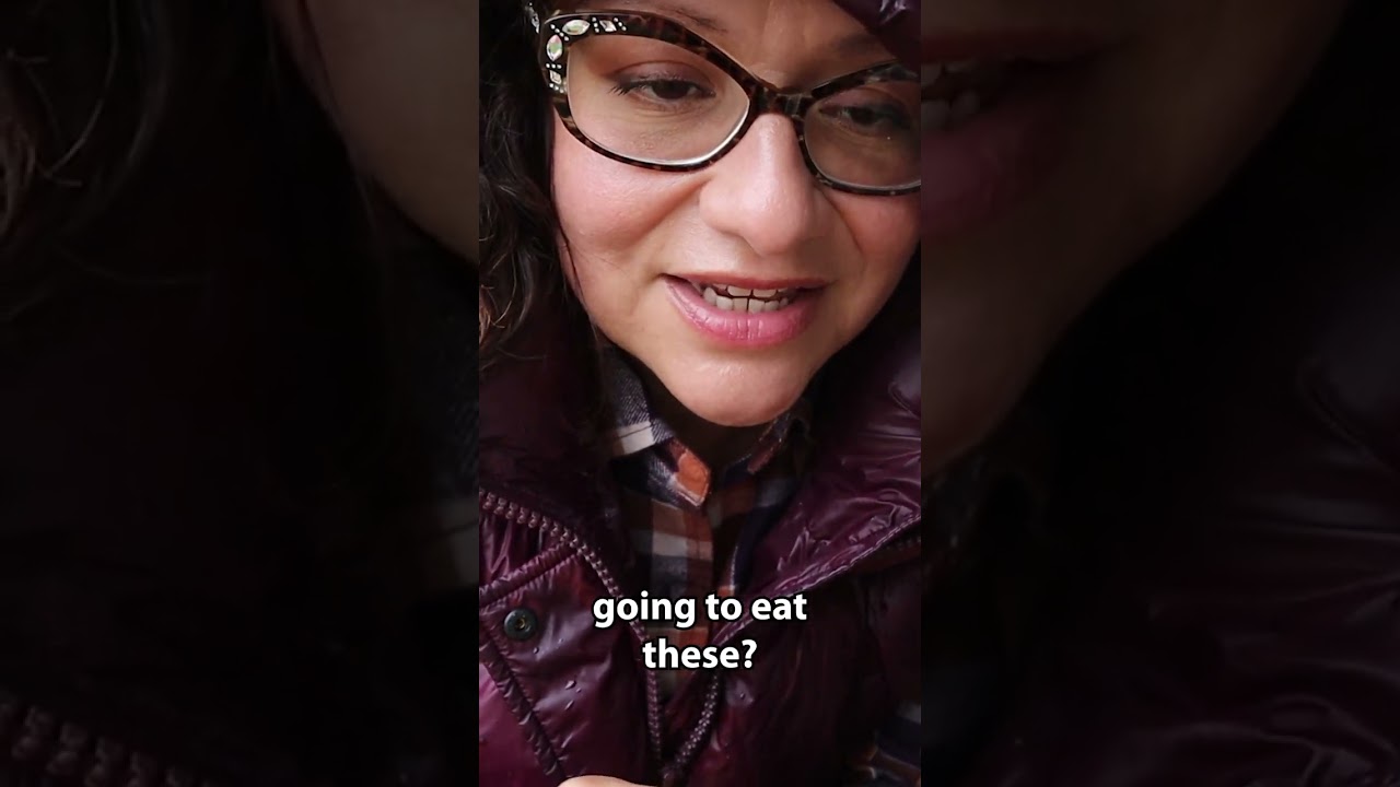 Is Fixing Your Muddy Chicken Run Dangerous for Chickens?