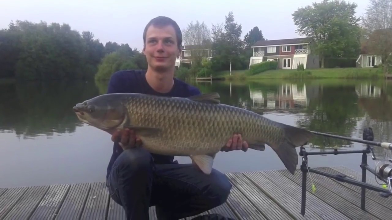 Park Emslandermeer Parkvideo