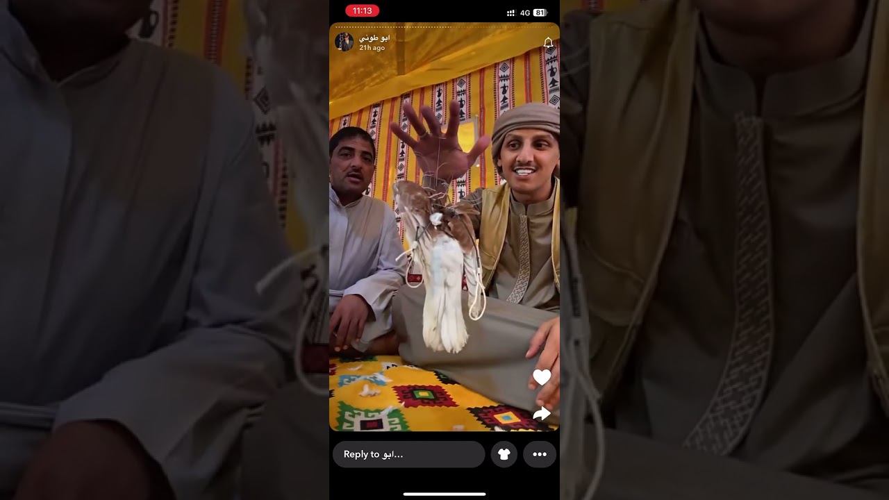 سنابات السفاح يشرح طريقته في صيد الصقور