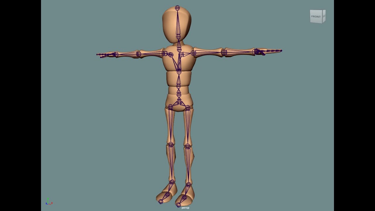 Rigging of a Biped Character: The Creation of the Joints