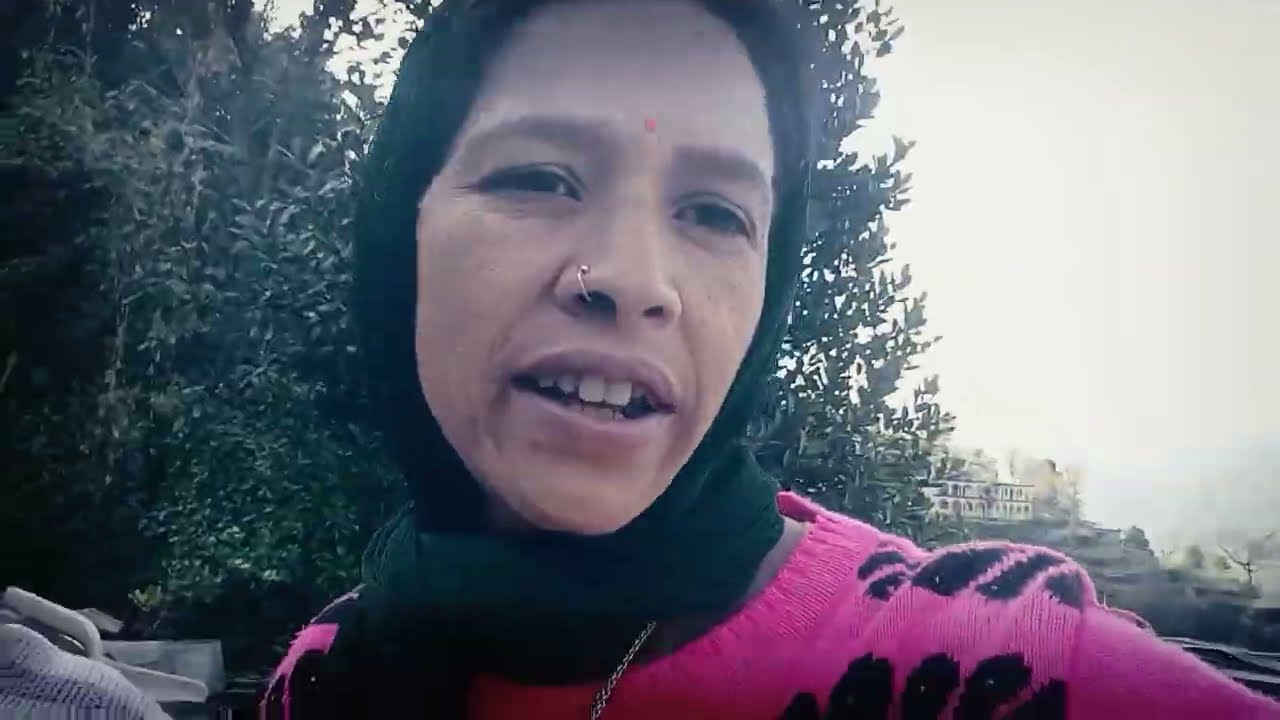  खेत में पहाड़ी तरीके से बहुत अच्छी 😊गुणवत्ता वाली धनिया लगा रखी है 🤨#pahadilife#phadilifestyle 