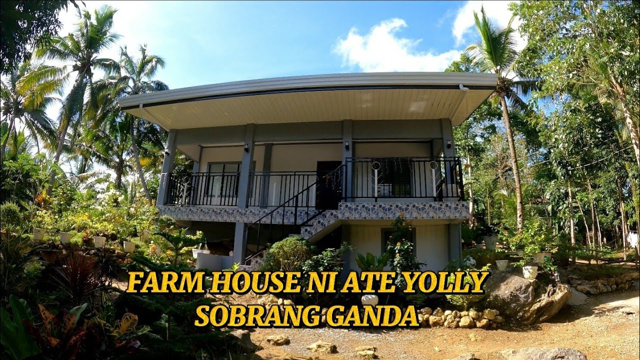 ANG FARM HOUSE NI ATE YOLLY SIMULA PAG GAWA HANGGANG SA HULING GRABI ANG GANDA NANG PAGKA GAWA