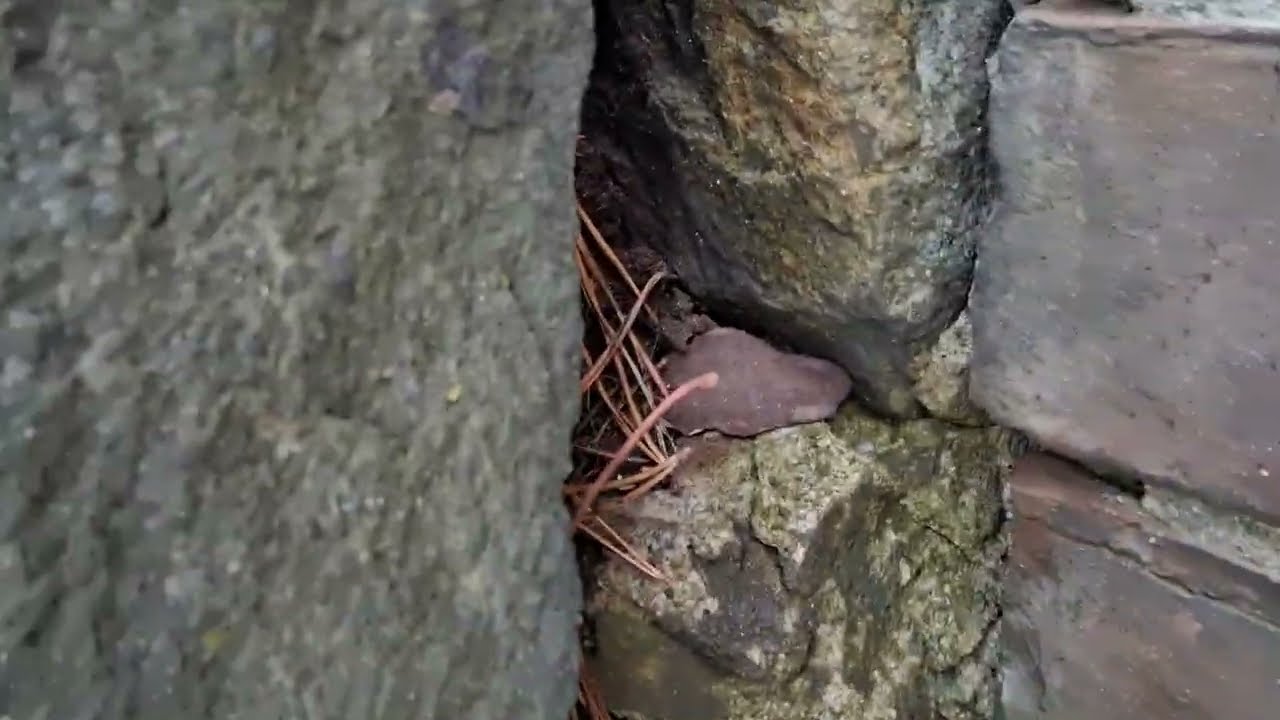 Осматриваем старую дымоходную трубу.