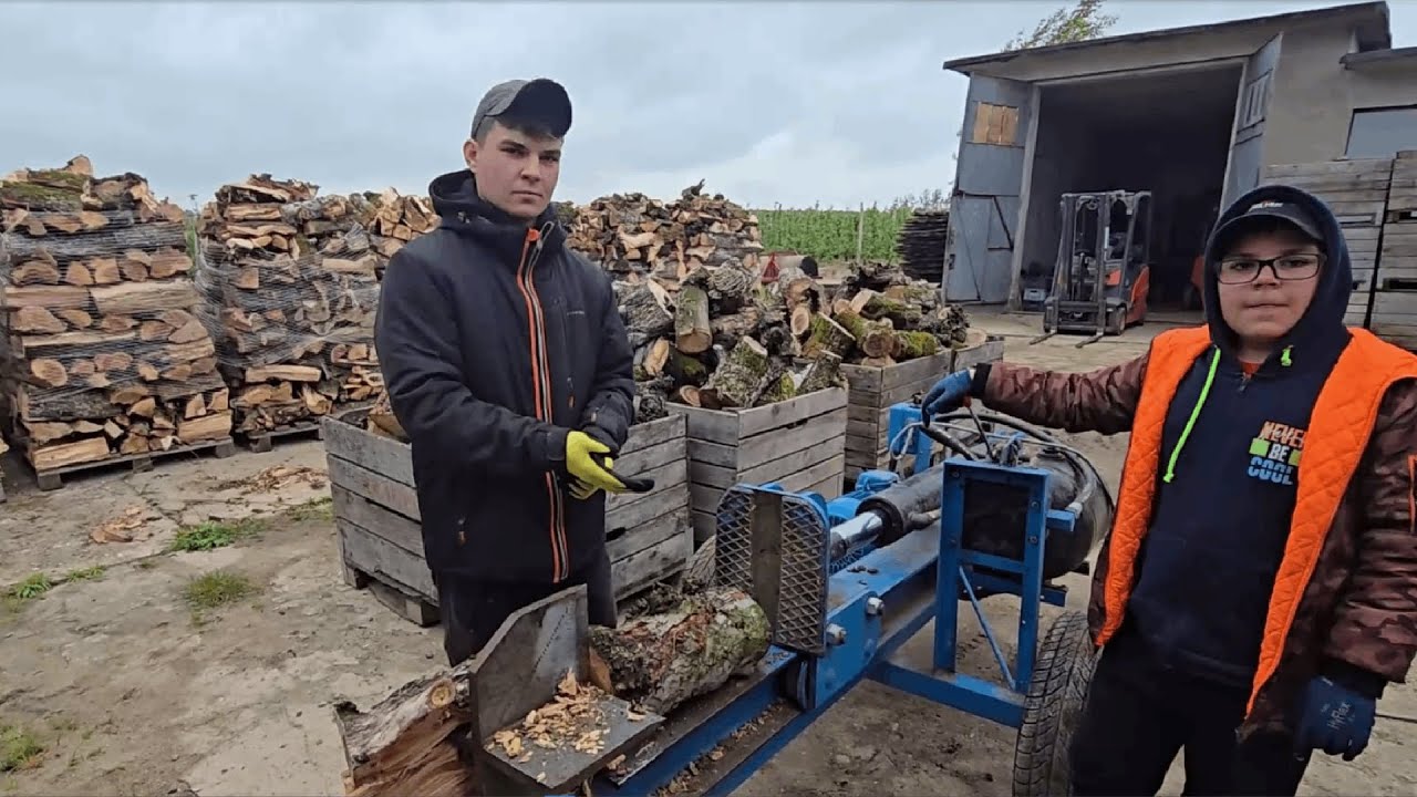 Łupanie drzewa - Porządki na gospodarstwie
