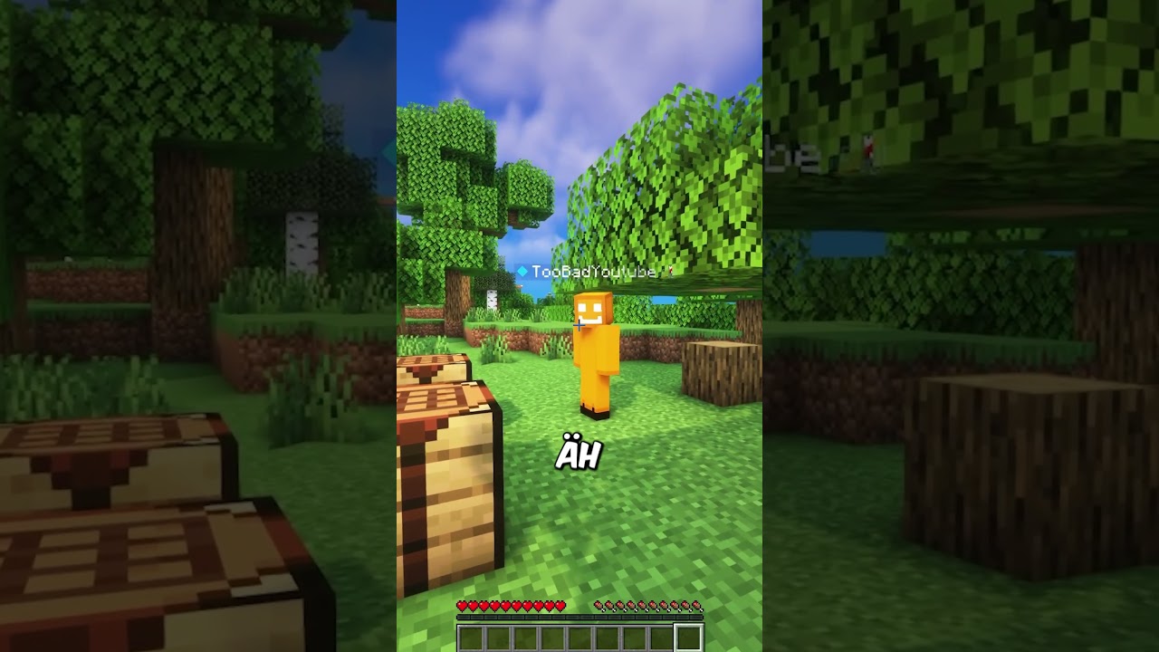 Endlich der NEUE SERVER!  #minecraft #gaming #shorts