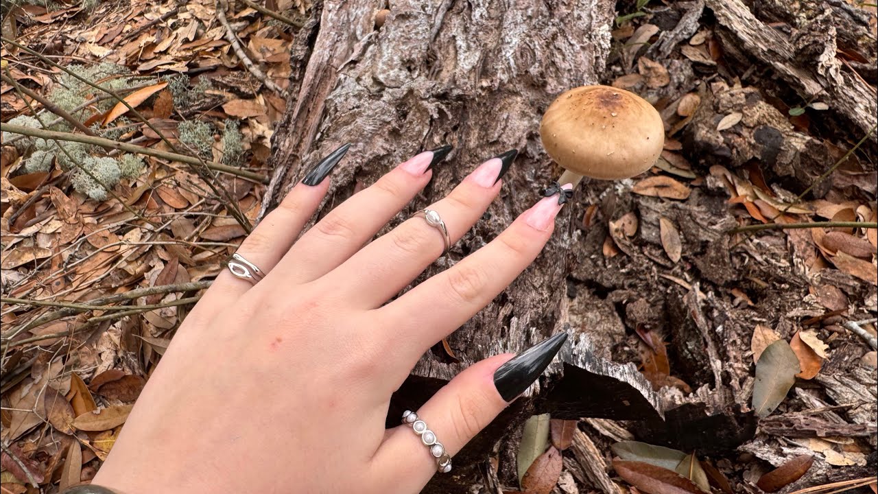 Build up tapping, scratching, and talking outdoors in the woods! (my first ASMR video)