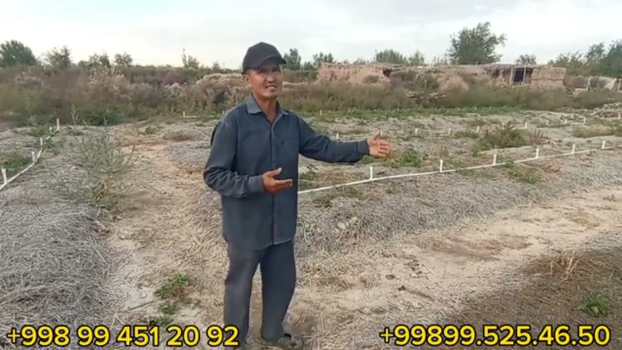 БИОГУМУСТЫН  ЕГИНЛЕРГЕ ПАЙДАСЫ #karakalpakstan #биогумус #рекомендация #shortsvideo