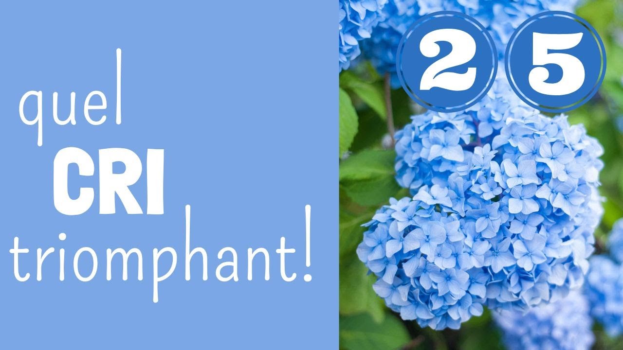 Quel cri triomphant et convaincant!!!