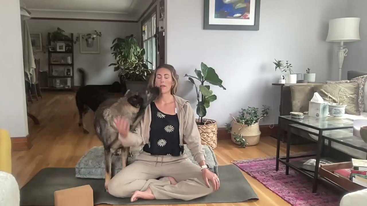 Restorative Yoga for Hip Flexibility | Brahmari Breath, Figure Four, Pigeon Pose