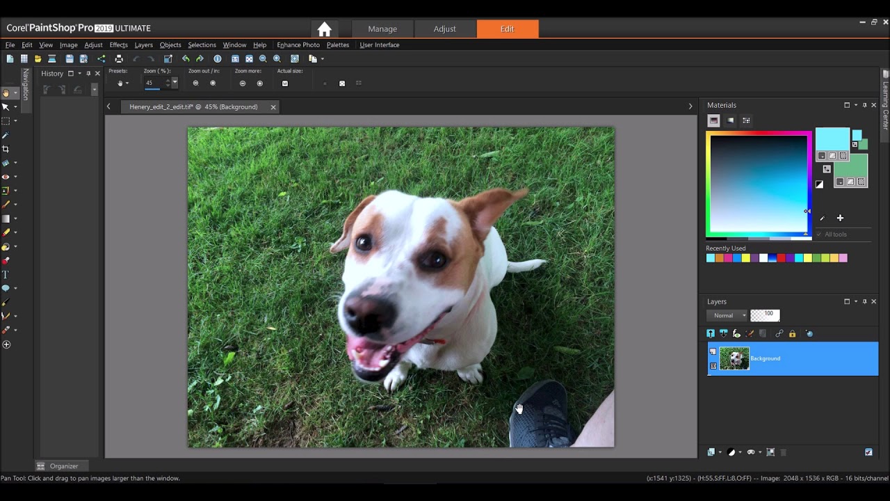 Corel PaintShop Pro 2019 - Removing unwanted Objects from an image using Magic Fill