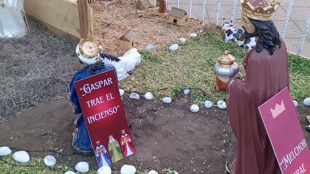 “El Hermoso Nacimiento de Jesús que Decoraron en Nueva Concepción 🌟”
