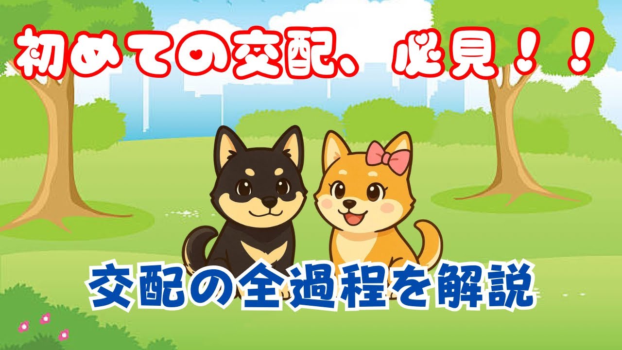 【初めての交配、必見ｌ犬の交配ってどうするの？準備から流れまで徹底解説】