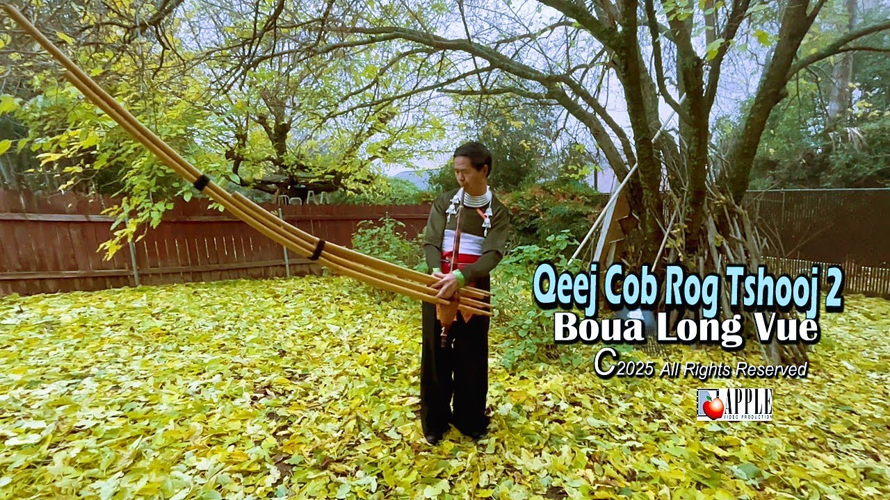 BOUA LONG VUE - ZAJ QEEJ COB ROG tshooj 2 (tawm tshiab 12 hlis 2025)