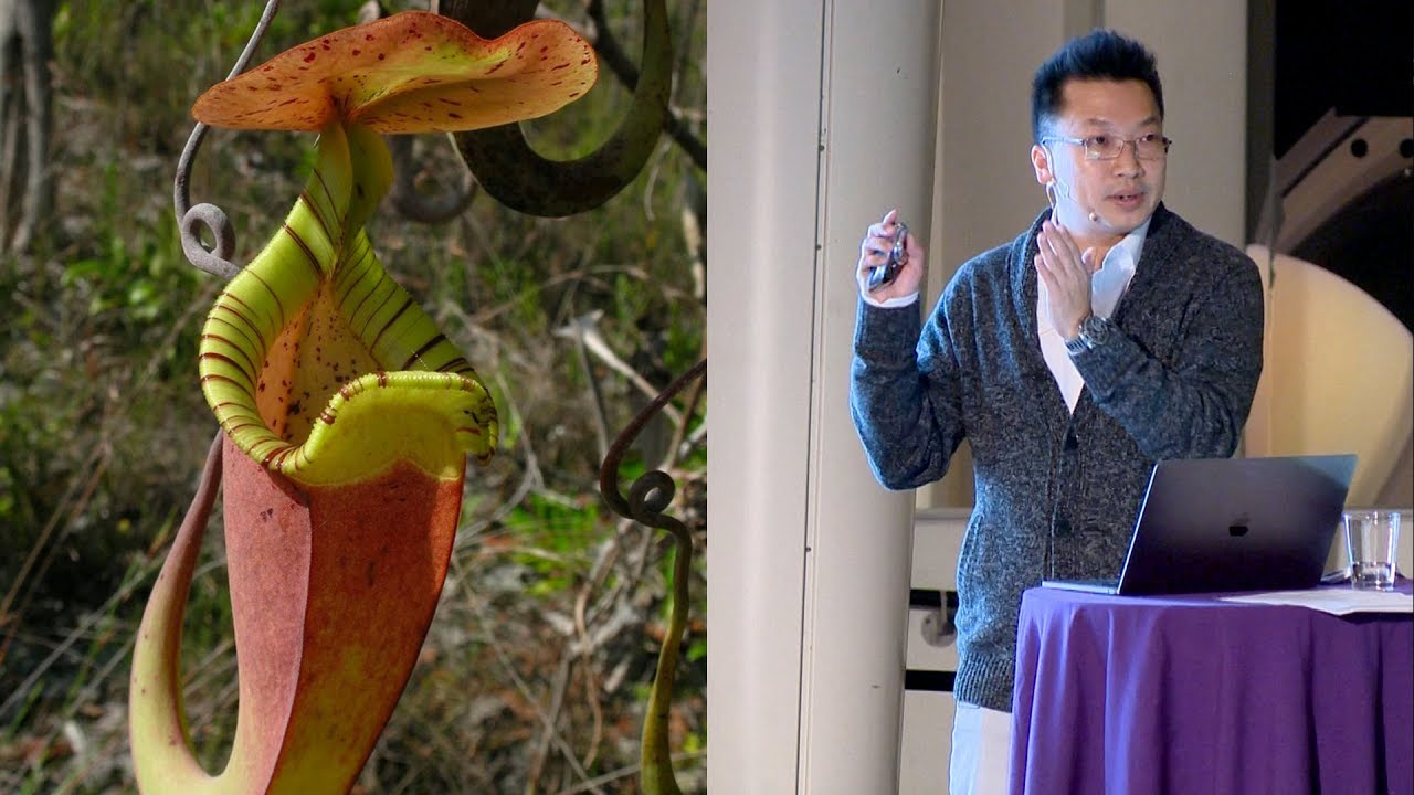 Technology Inspired by Nature &ndash;&nbsp;AMNH SciCafe