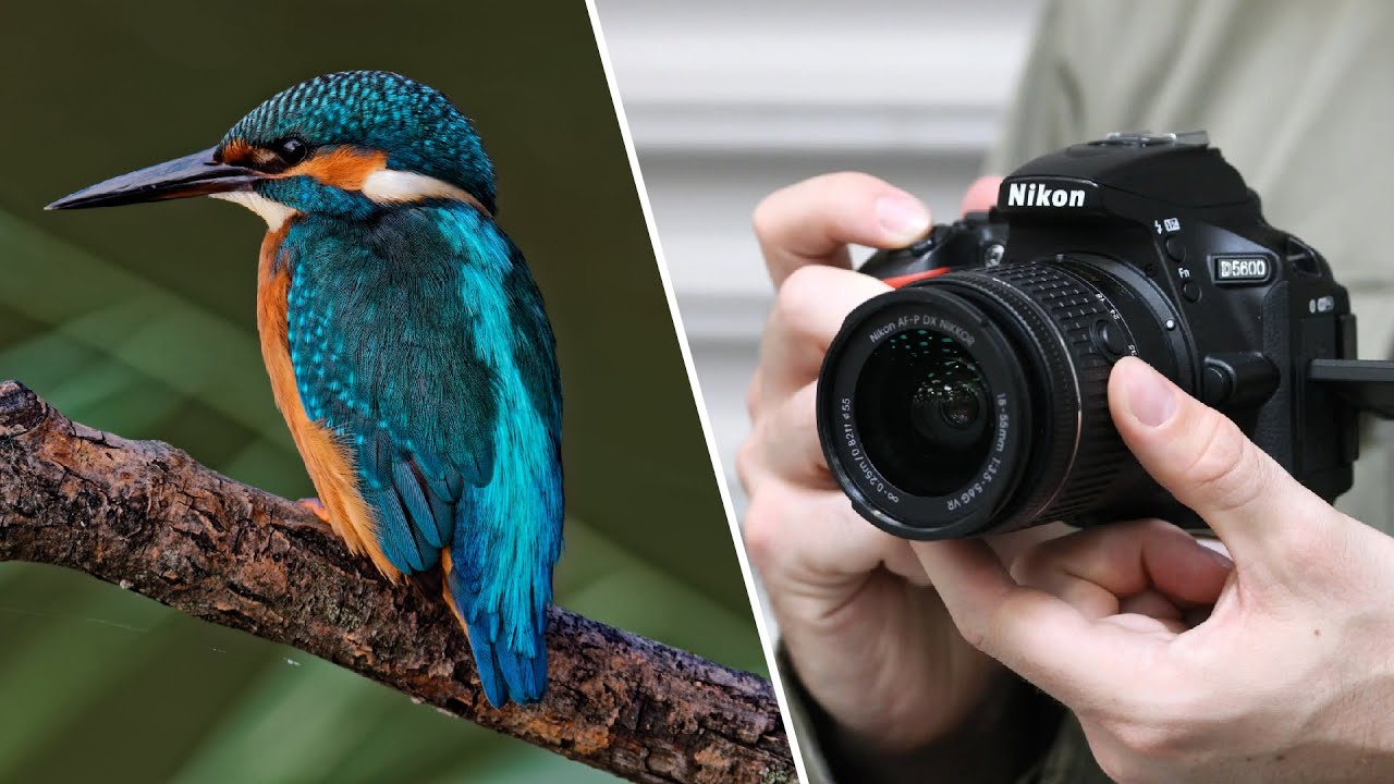 Nikon D5600 Camera Review : Best Photography Camera in 2023