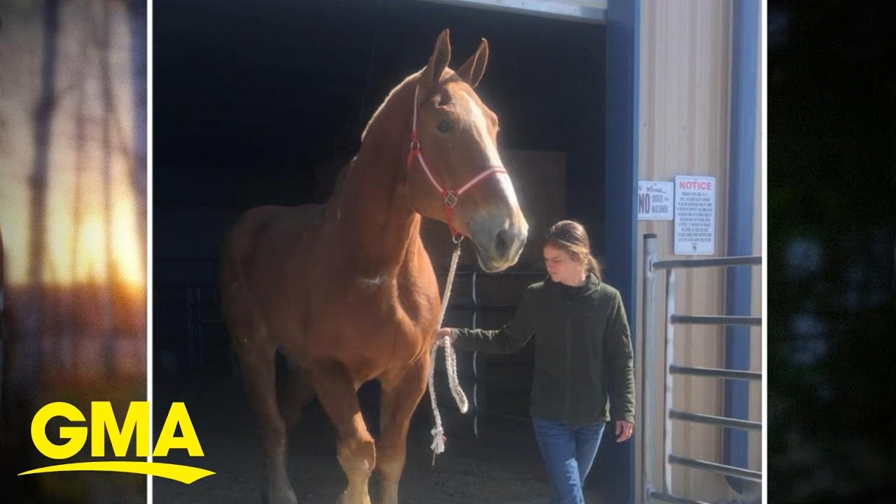 Colby&rsquo;s crew rescue