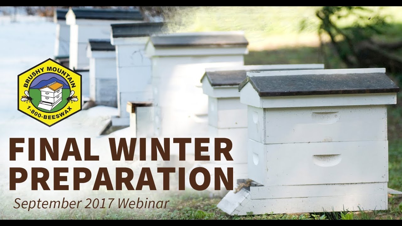 Final Winter Preparation - Brushy Mountain Bee Farm