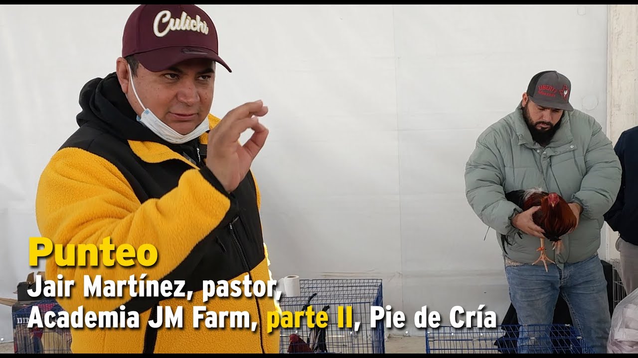 Punteo, Jair Martínez, pastor, Academia JM Farm, parte II, Pie de Cría oficial