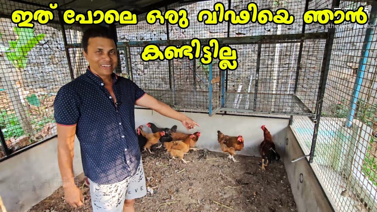 ഇത് പോലെ ഒരു മണ്ടൻ.../Family vlog /Fish curry/Agriculture /AJU'S WORLD