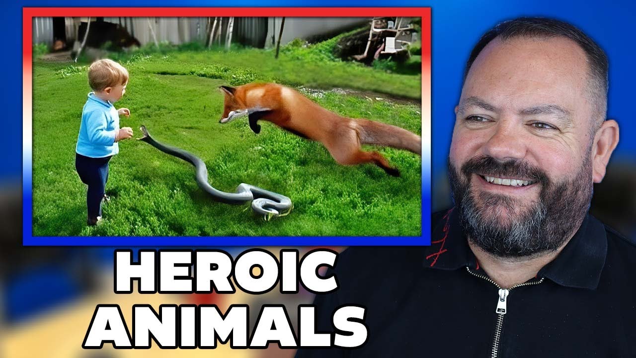 37 Hero Animals that Saved Human Lives ! REACTION | OFFICE BLOKES REACT!!