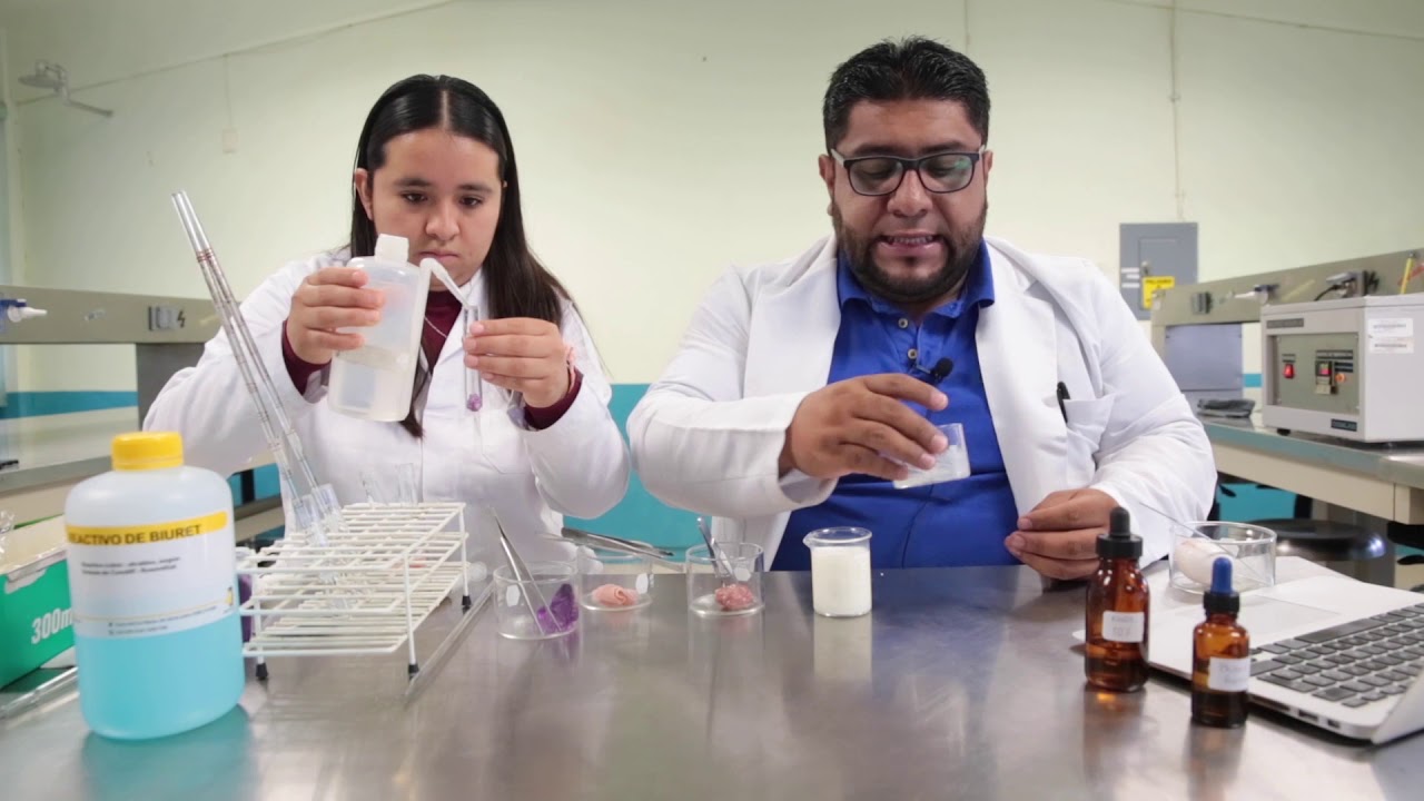 Práctica 6 Identificación de proteínas