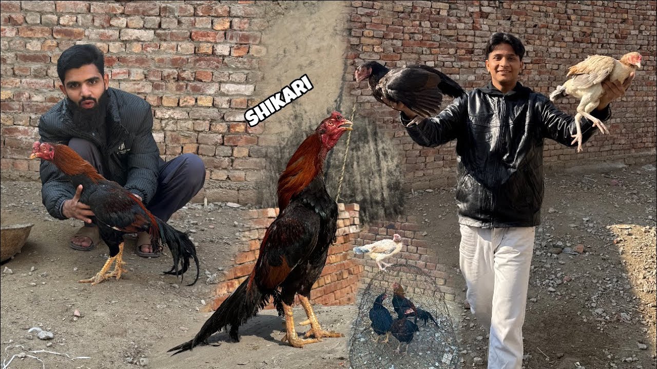 Puri Shikari family khareed li 😱😍